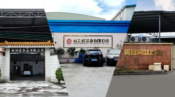 柑普茶在中部地区持续受捧,产品力成区域市场开拓的最有力武器
