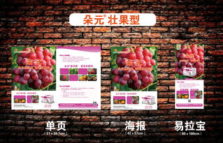 产品系列宣传广告