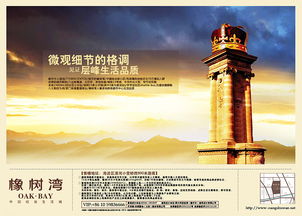 广告设计