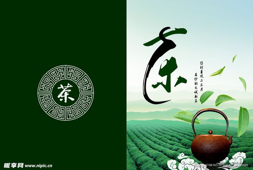 茶韵天成 唤醒心灵的清香之旅